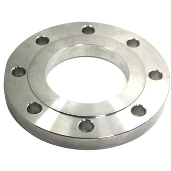 Çelik Ürünler En1092 BS DIN ANSI Paslanmaz Çelik Plaka Flanşı 