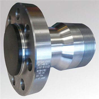 Östenitik Paslanmaz Çelik Flanş (ASTM / ASME-SA 182 F316L, F316Ti) 